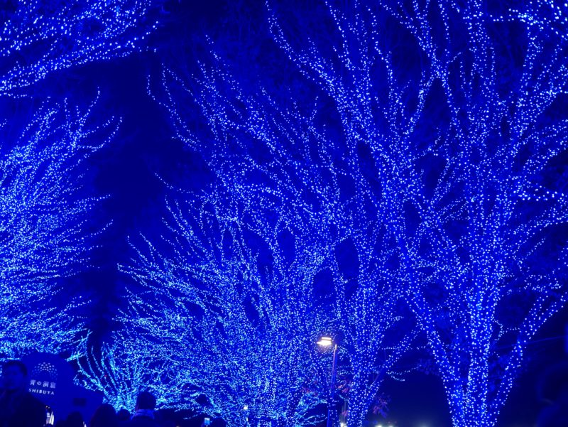 青の洞窟 SHIBUYA